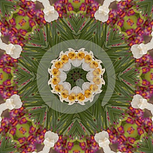 Abstract kaleidoscope with daffodil flowers at springtime