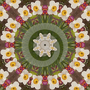 Abstract kaleidoscope with daffodil flowers at springtime