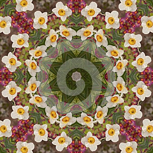 Abstract kaleidoscope with daffodil flowers at springtime