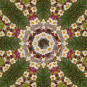 Abstract kaleidoscope with daffodil flowers at springtime