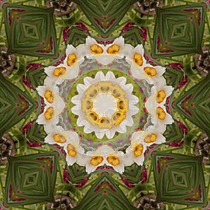 Abstract kaleidoscope with daffodil flowers at springtime