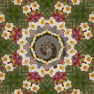 Abstract kaleidoscope with daffodil flowers at springtime