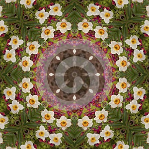 Abstract kaleidoscope with daffodil flowers at springtime