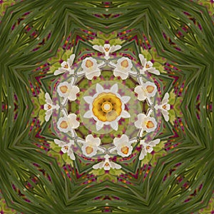 Abstract kaleidoscope with daffodil flowers at springtime