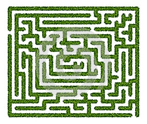 Abstract labyrinth of green hedge on white background