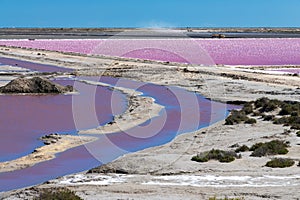 Abstract landscape of pink salt pans at Salin de Giraud saltworks in the Camargue in Provence, France