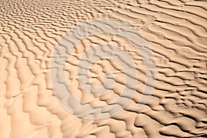 Abstract landscape of the sand dunes desert of Sahara
