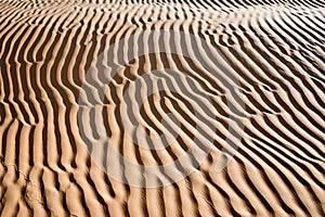 Abstract landscape in the Sand dunes desert of Sahara