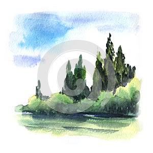 Abstract landscape. Summer Dark green high trees behind bright bright bushes under the blue sky. Illustration for the decor of the