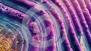 Abstract lavender swirls, digitally generated image. perfect for backgrounds, creative projects. vivid and eye-catching