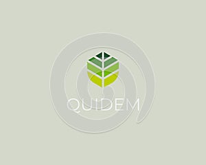 Abstract leaf gradient logo. Park garden vector icon. Creative yoga zen wellness sign.