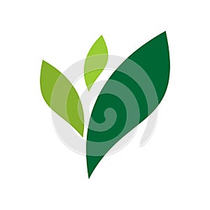 Abstract leaf nature green logo icon