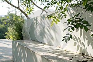 Abstract leaf shadow and light blurred background