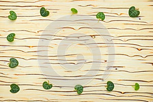 Abstract leaves Ceropegia Woodii on wood texture