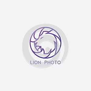 Lion head vector logo design, abstract tiger logo. Linesart