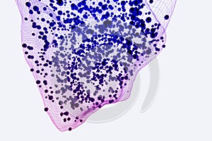 Blue grid background with circles