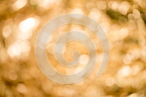 Abstract light bokeh background,circular facula.