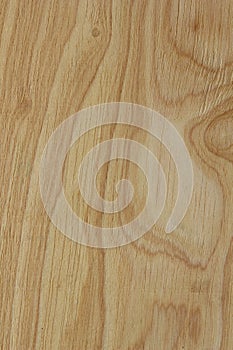 Abstract light wood panel texture background