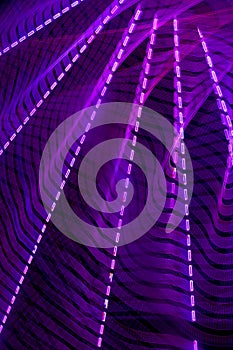 Purple Lights in Motion