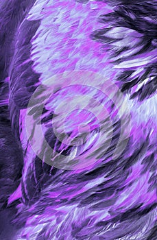 Abstract Lilac Feathers