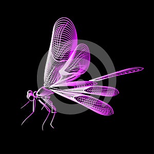 Abstract line art dragonfly, vector illustration isolated