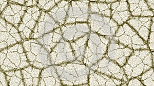 Abstract lines background. Cracked glass wallpaper. Art crack wall backgrounds