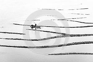 Abstract lines formed by the shallows at low tide photo