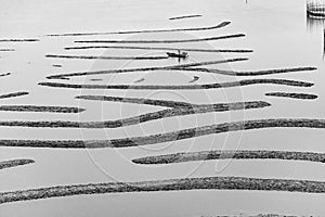 Abstract lines formed by the shallows at low tide photo