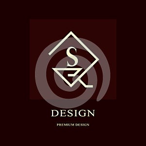 Abstract logo design. Modern luxury monogram. Minimum elements. Letter emblem S. Mark of distinction. Universal rhombus template. photo