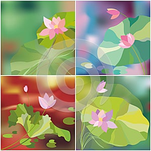 Abstract lotus flower background