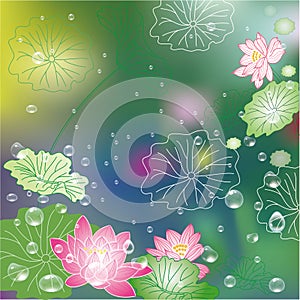 Abstract lotus flower background