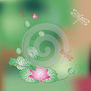 Abstract lotus flower background