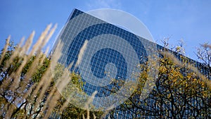 Abstract Low Angle of Corporate Building With Foreground Grass