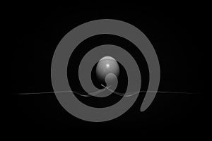 Abstract low key blackbackground egg on forks photo
