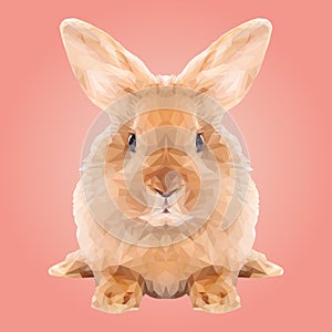 Abstract Low Poly Rabbit Design photo
