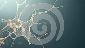 Abstract luminous network structure with connecting nodes in digital space, representing digital connection and data flow within