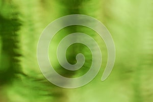 Abstract lush green bokeh background