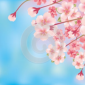 Abstract luxury cherry blossom