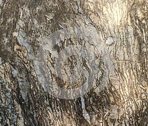 Abstract mable texture