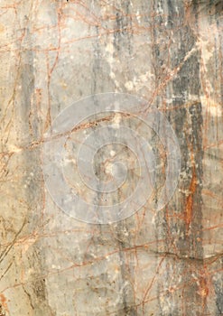 Abstract mable texture