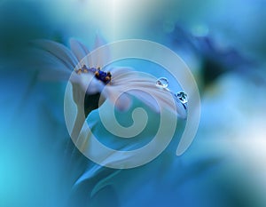 Beautiful Blue Nature Background.Spring Flower.Ocean Concept,water.Tranquil Abstract Closeup Art Photography.Floral Design.Plant.