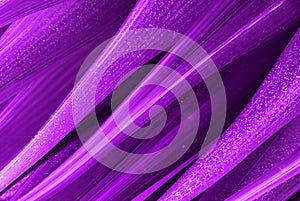 Abstract, Magenta, Glass, form