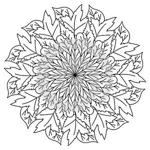 Abstract mandala with leaves of various types, autumn meditative coloring book