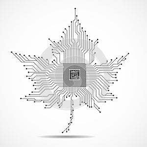 Abstract maple leaf with microprocessor inside