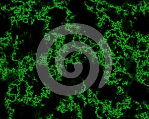 Abstract marble texture veiny