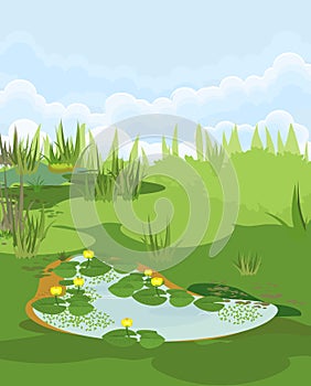 Abstract marsh landscape with pond overgrown