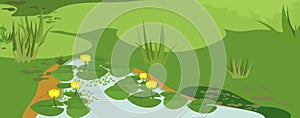 Abstract marsh landscape with pond overgrown with flowering yellow water-lily Nuphar lutea