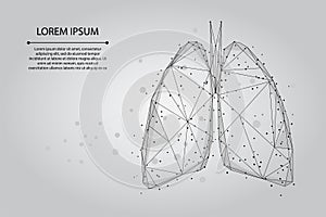 Abstract mash line and point humans lungs connected dots low poly wireframe
