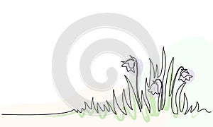 Abstract meadow line with grass and flowers bellflower. photo