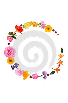 Abstract Medicinal Herb and Flower Wreath